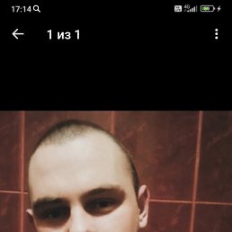 , 31, 