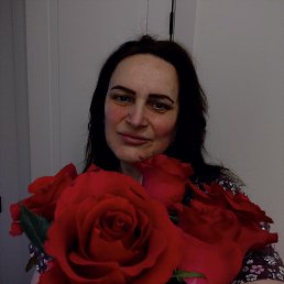 , 53, 