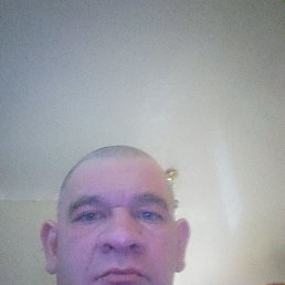 , 37, 
