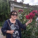 ���� ���������, �����-��������� - ��������� 5 ������� 2024 � ������ ���� ����������