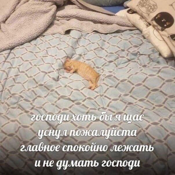    - 24  2024  13:19