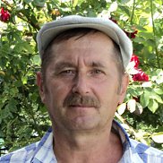 , 65 , 