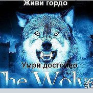 ����, 53 ����, �����