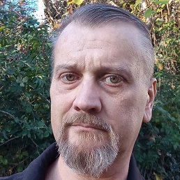 �����, ������, 50 ���