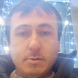 ����, �������, 34 ����