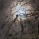 ���� ���, ���������, 51 ��� - ��������� 3 ����� 2026