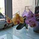 ���� �, �����, 41 ��� - ��������� 13 �������� 2024 � ������ ���� ����������