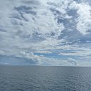 ���� Brian, ��������, 25 ��� - ��������� 14 ����� 2024 � ������ ���� ����������