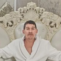 ������, �����������-��-�����, 48 ���