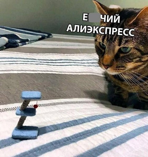  - 25  2025  22:54