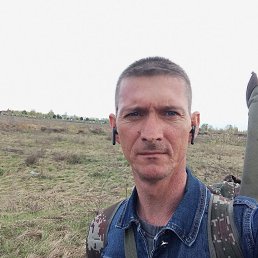 ������, 46 ���, ���������