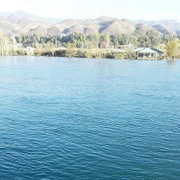 ����, �����-���������, 54 ����