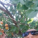 ���� �������, �����-���������, 50 ��� - ��������� 11 ����� 2026 � ������ ���� ����������