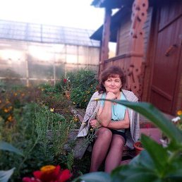 �������, �����������, 53 ����