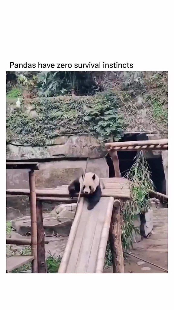 ����� ����� ��� � �����, ��������! - 2