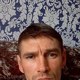 , 40, 
