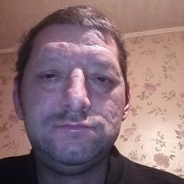 �������, �����-���������, 43 ����