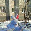 ���� ����, ������������, 37 ��� - ��������� 20 ���� 2025 � ������ ���� ����������