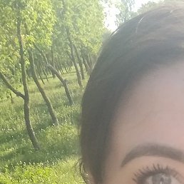 �����, ���������� �����, 41 ���