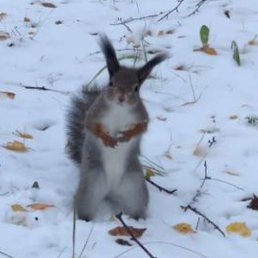 ���� ���������, ���������, 21 ��� - ��������� 5 ������ 2023