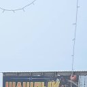 ���� �����, ������, 55 ��� - ��������� 11 ���� 2026 � ������ ���� ����������