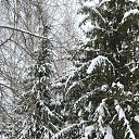 ���� �������, ��������� - ��������� 5 ������ 2024 � ������ ���� ����������