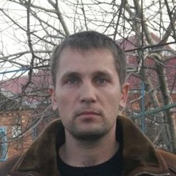 ���������, �������, 41 ���