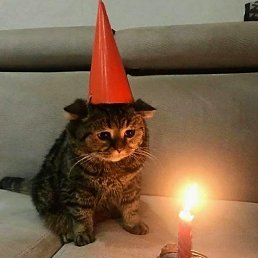 Lena, �������, 30 ���