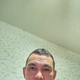 , 40, 