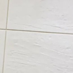 �����, ���������, 24 ����