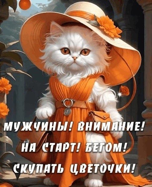  - 7  2024  14:16