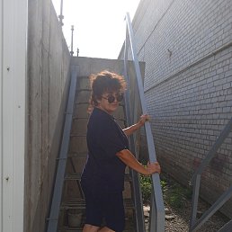 , 53, 
