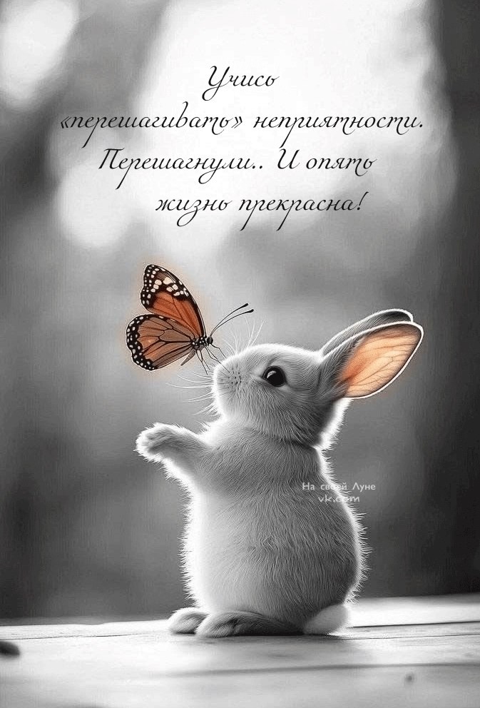  - 8  2025  07:39
