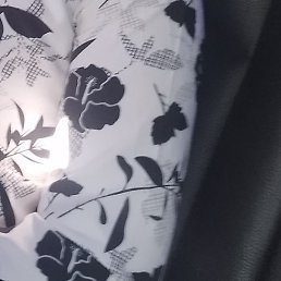 �������, �������, 20 ���