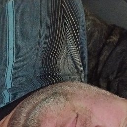 ������, ���������, 58 ���