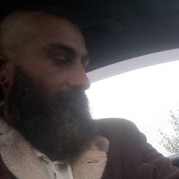 , 33, 