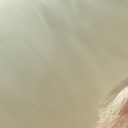 , 41 , 
