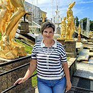 , 55 , 
