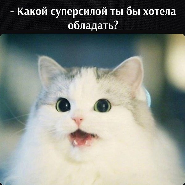       - 3  2025  17:30