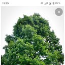 ���� ������� ������, �����, 60 ��� - ��������� 14 ������� 2025 � ������ ���� ����������
