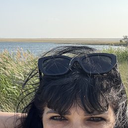 , 61, 