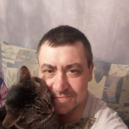 , 54, -