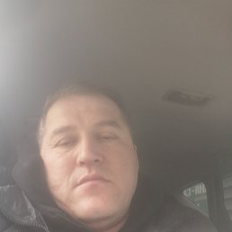 , 37, 