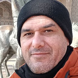 �����, ������ ��������, 37 ���