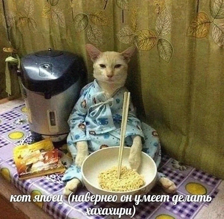 ,  !