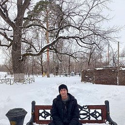 ���� �������� ������, �������, 37 ���