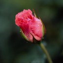 ���� �������, ������, 35 ��� - ��������� 16 ������ 2023 � ������ ���� ����������