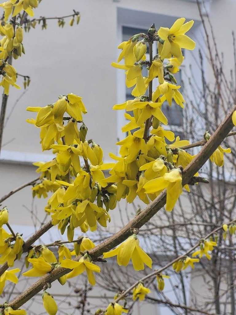     .  : https://fotostrana.ru/away?to=/sl/ei54 ... - 3