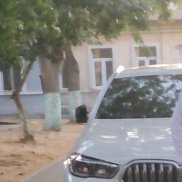 ������, 43 ����, ����������