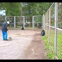 ���� ���������, �������, 70 ��� - ��������� 24 ������ 2025 � ������ ������ ��������